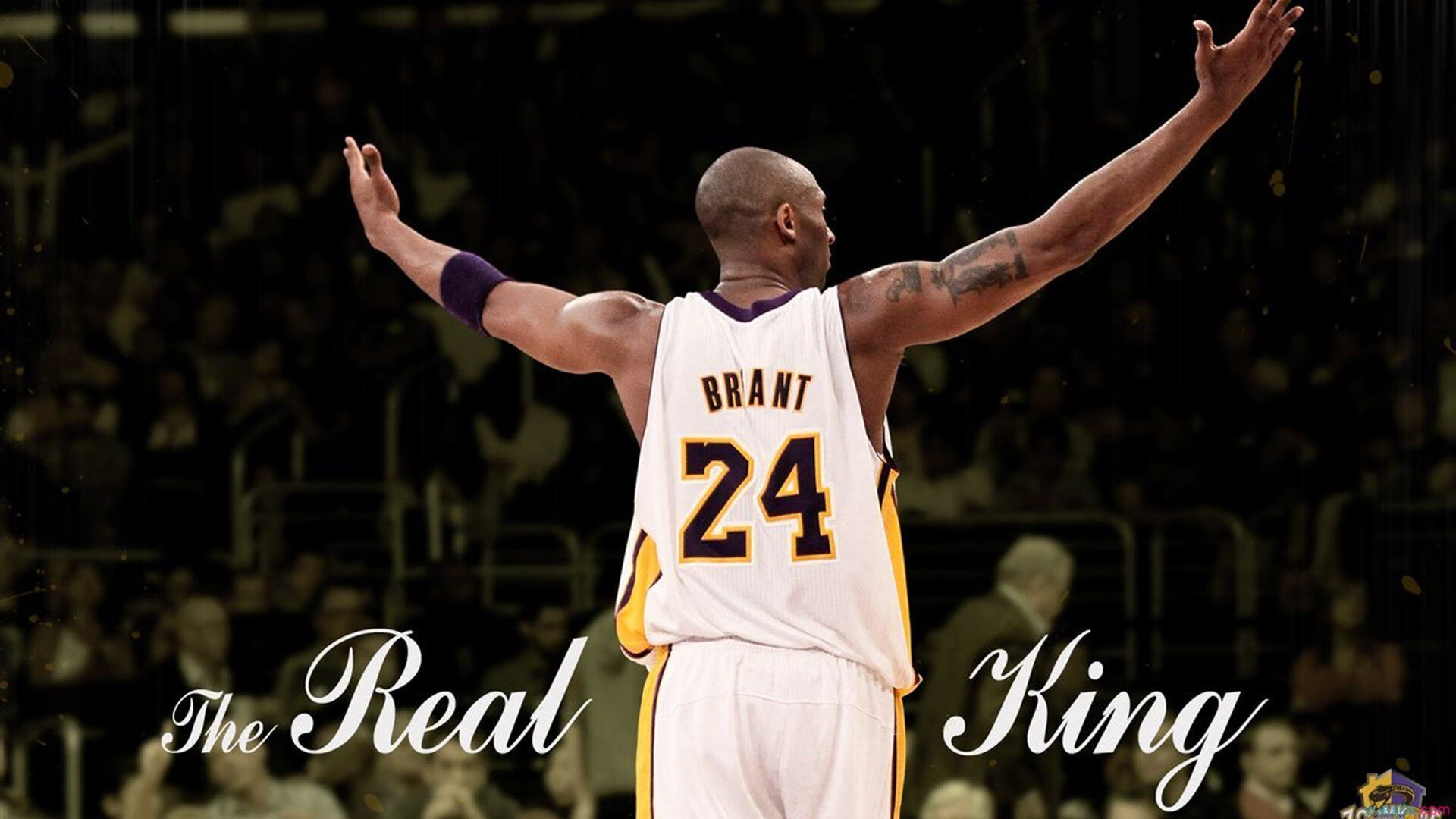 步行者制霸雄鹿，欧文防守端锁死对手，当利刃化为坚盾